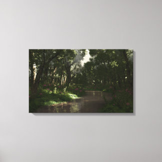 Shady Creek Canvas Print