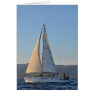 Shady Lady In The Early Morning