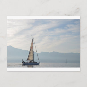 Shady Lady Postcard