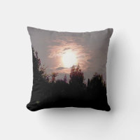 Shady Moon Nature Photography