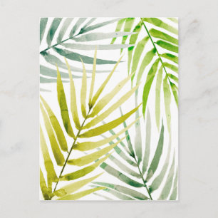 Shady Palms Postcard