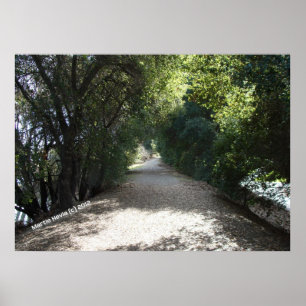 Shady Path Poster