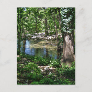Shady Texas Creek Postcard