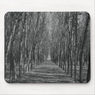 Shady way mouse mat