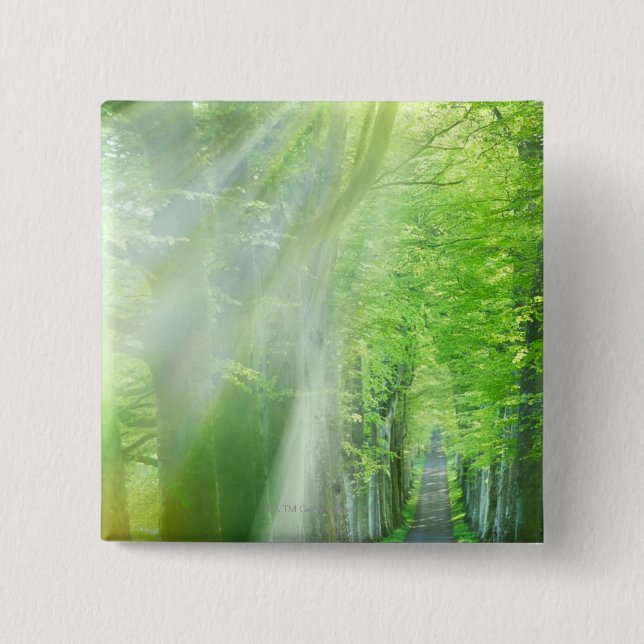 Shafts of Sunlight 15 Cm Square Badge (Front)