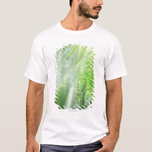 Shafts of Sunlight T-Shirt