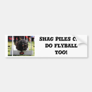Shag Piles can do Flyball too Bumper Sticker