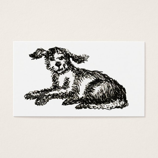 Shaggy dog (Front)
