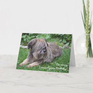 Shaggy dog belated birthday card
