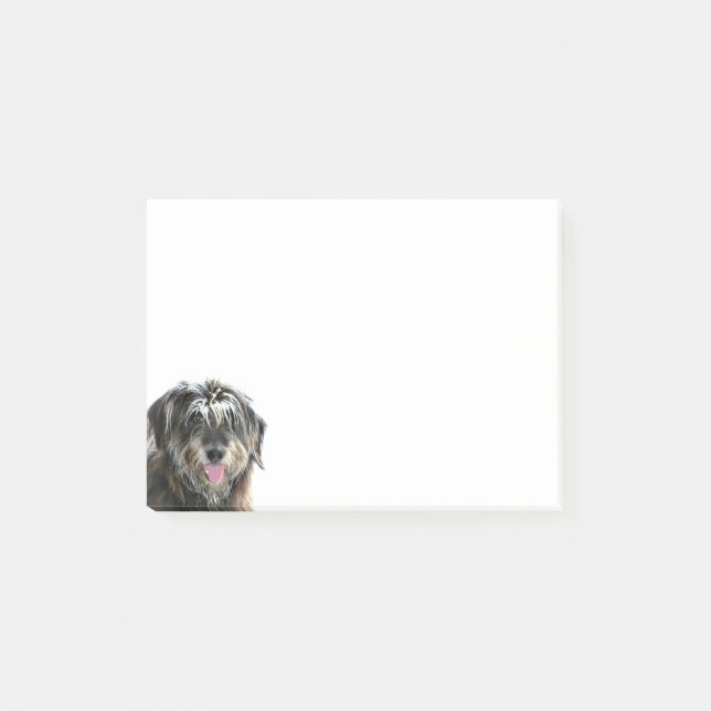 Shaggy dog face post-it notes (Front)