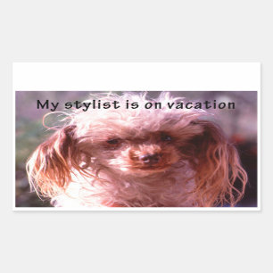 Shaggy Hair Dog Rectangular Sticker