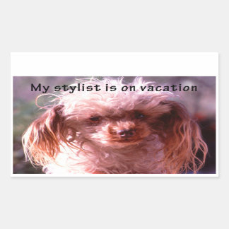 Shaggy Hair Dog Rectangular Sticker