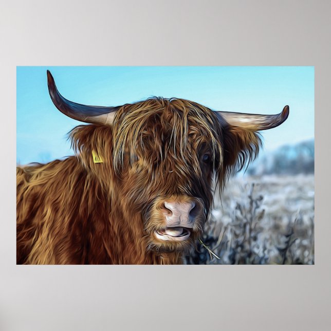 Shaggy Highland Beef Cow Oil Painting Poster (Front)