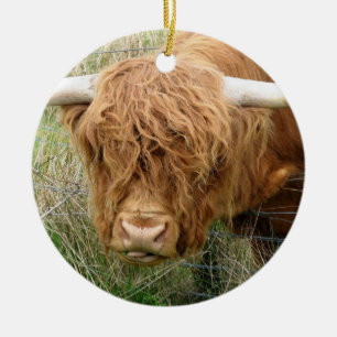 Shaggy Highland Cow Ceramic Tree Decoration