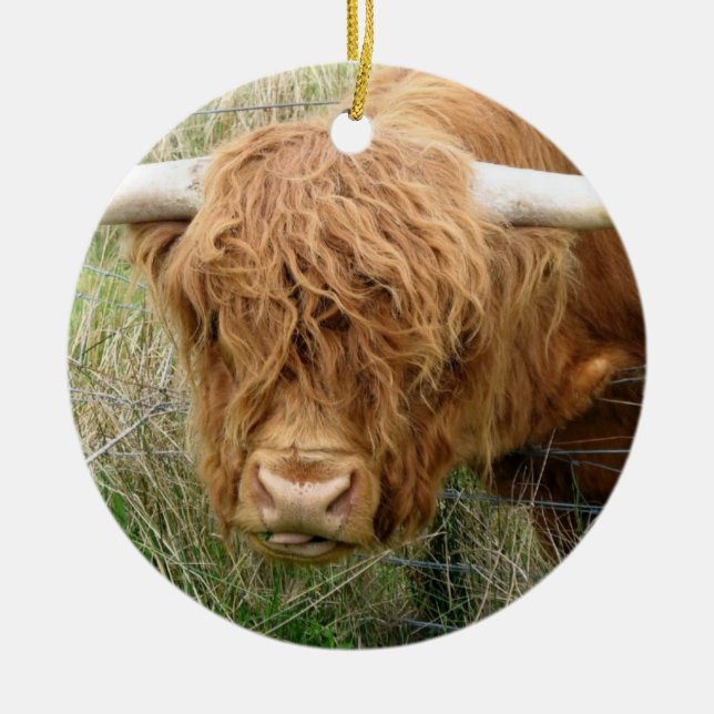 Shaggy Highland Cow Ceramic Tree Decoration (Front)