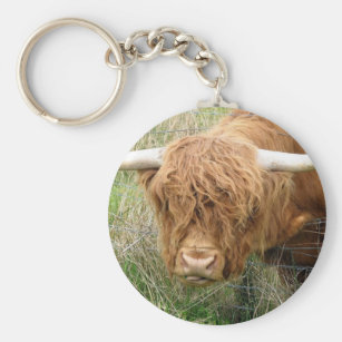 Keyring Circle Highland Cow Scotland Cattle  #45332