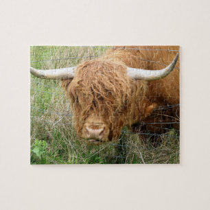 Shaggy Highland Cow Puzzle