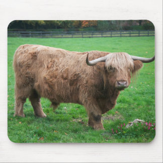 Shaggy Mousemat