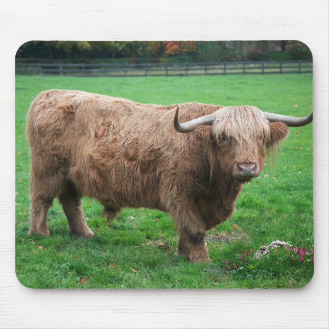 Shaggy Mousemat (Front)