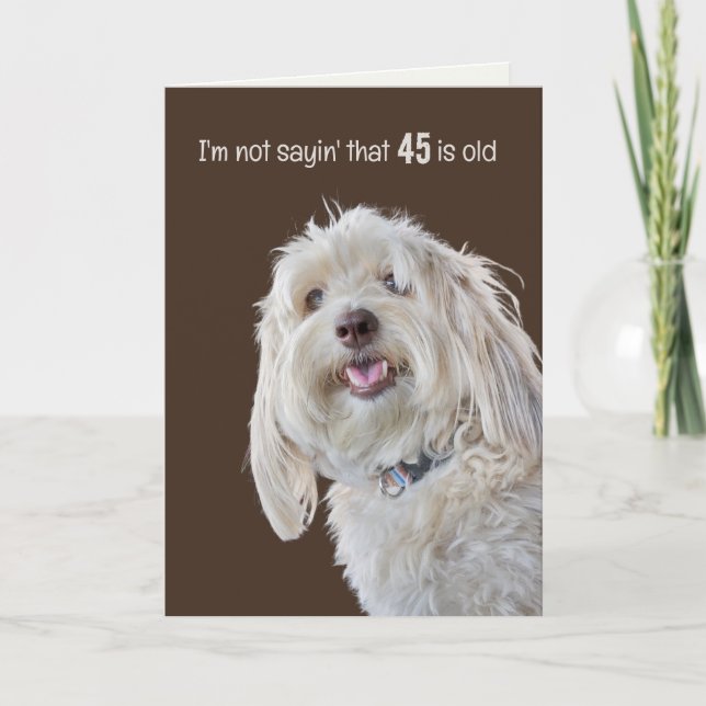 Shaggy Poodle for 45th Birthday Humour Card (Front)