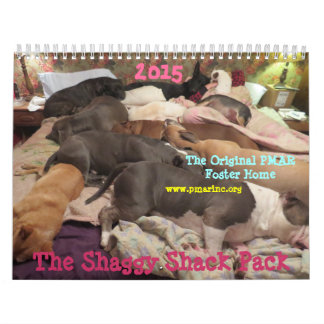 Shaggy Shack 2015 Calendar