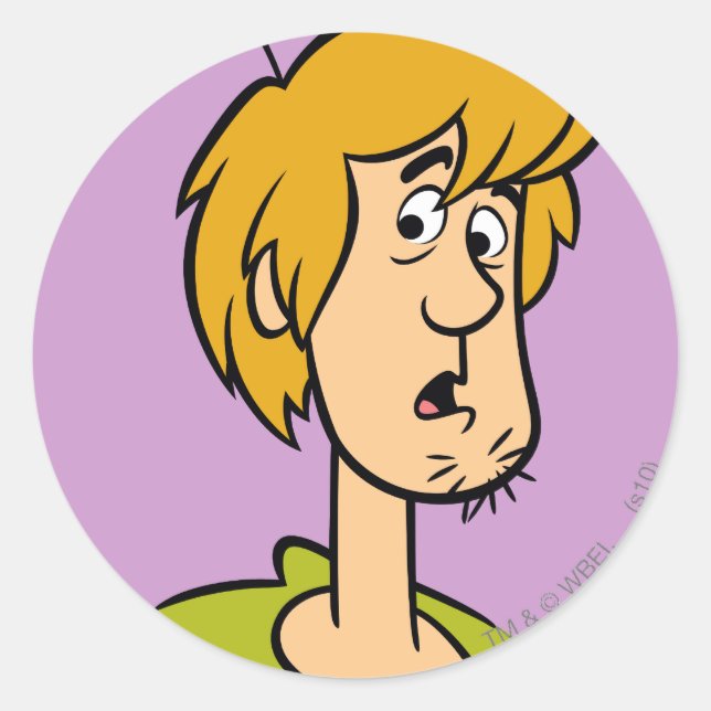 Shaggy Surprised Classic Round Sticker (Front)
