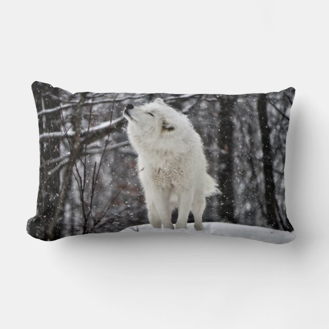 Shake it off lumbar cushion (Front)