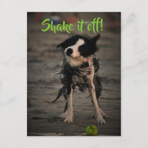 Shake it off postcard