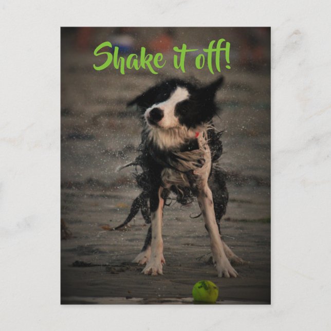 Shake it off postcard (Front)