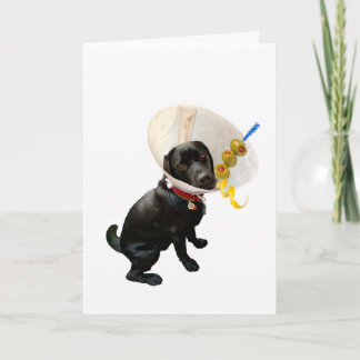 Shaken Not Stirred Get Well Greeting Card
