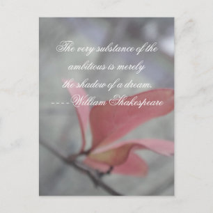 Shakepeare Quote ~ Shadow of a Dream Postcard