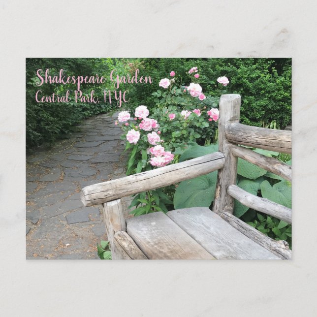 Shakespeare Garden Central Park NYC Pink Roses Postcard (Front)