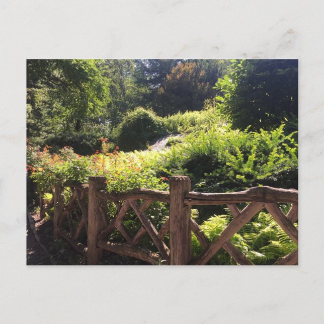 Shakespeare Garden NYC Central Park Photo Postcard (Front)