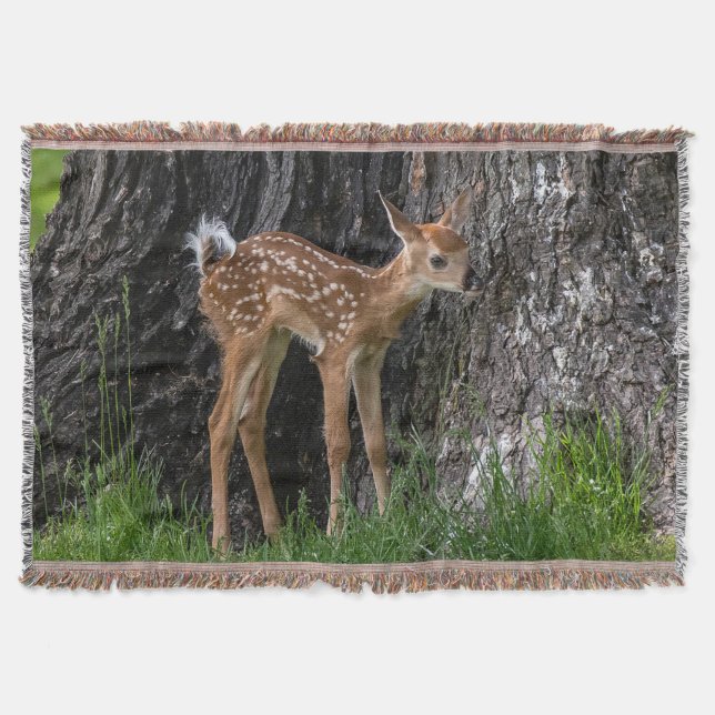 Shaky Legs Fawn Throw Blanket (Front)