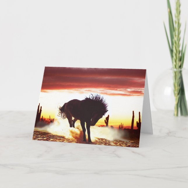 Shall We Dance - Horse Greeting Card (Front)