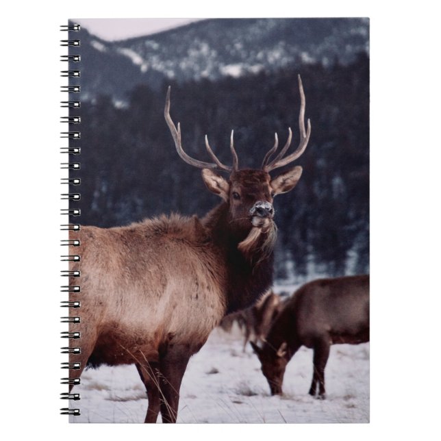SHALLOW FOCUS PHOTO OF BROWN DEER NOTEBOOK (Front)