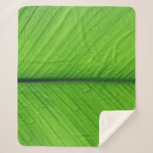 Shallow focus photo of green leaf sherpa blanket