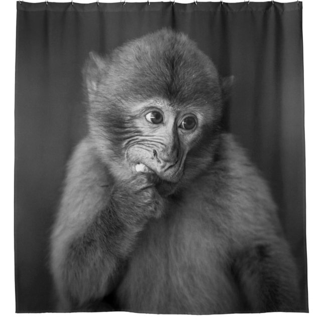 SHALLOW FOCUS PHOTOGRAPHY OF BLACK MONKEY SHOWER CURTAIN (Front)