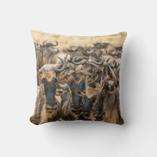 SHALLOW FOCUS PHOTOGRAPHY OF BROWN ANIMALS DURING CUSHION