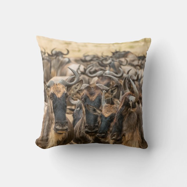 SHALLOW FOCUS PHOTOGRAPHY OF BROWN ANIMALS DURING  CUSHION (Front)