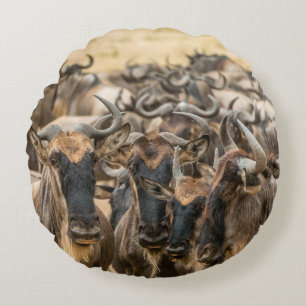SHALLOW FOCUS PHOTOGRAPHY OF BROWN ANIMALS DURING ROUND CUSHION