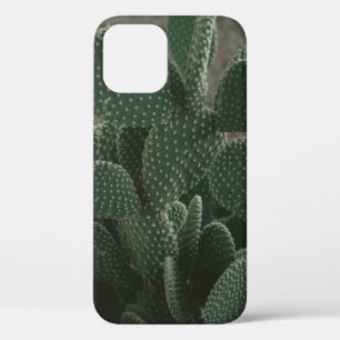 SHALLOW FOCUS PHOTOGRAPHY OF CACTUS iPhone 12 CASE