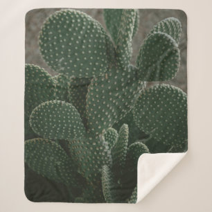 SHALLOW FOCUS PHOTOGRAPHY OF CACTUS SHERPA BLANKET