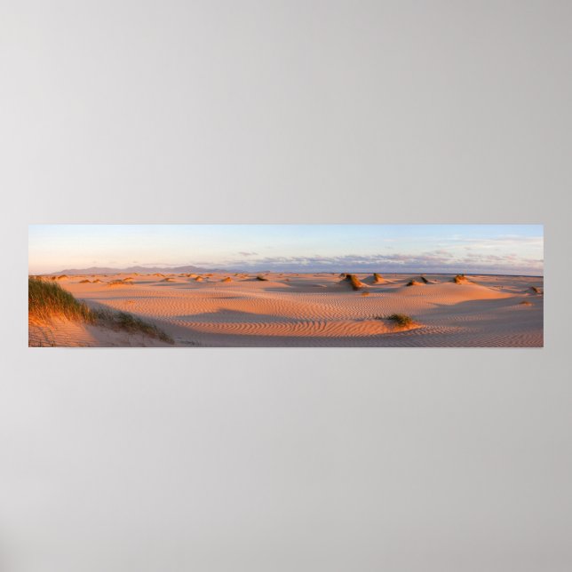 Shallow Inlet Dunes Panorama Poster (Front)