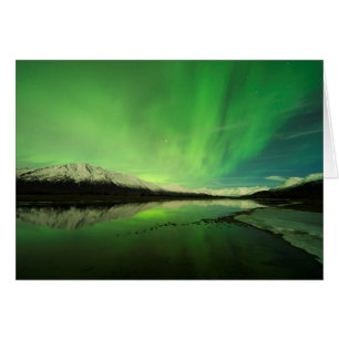 Shallows Aurora