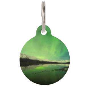 Shallows Aurora Pet Tag