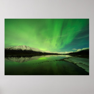 Shallows Aurora Poster