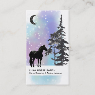 *~* Shaman Cosmic Stars Moon Horse Ranch Rainbow Business Card