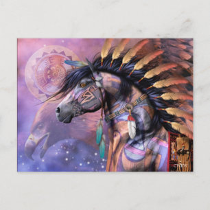 Shaman Postcard