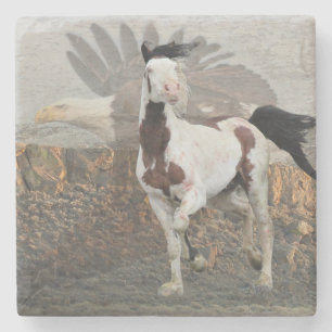 Shaman the Legend marble coaster